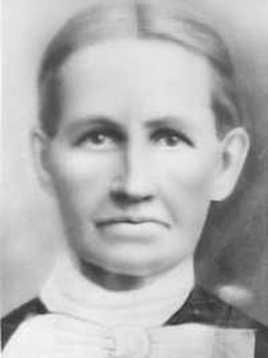 Phebe Eunice Wilbur (1837 - 1914) Profile